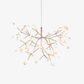 Heracleum Chandelier