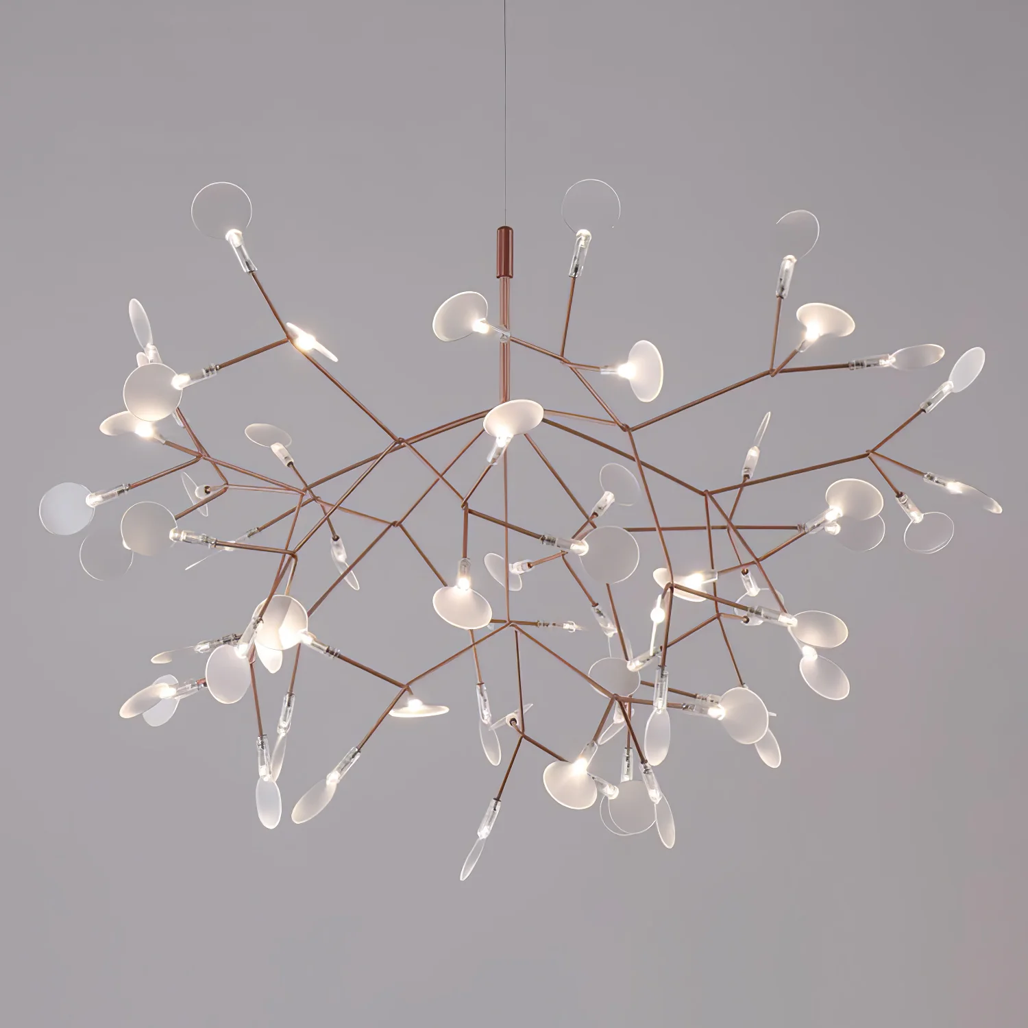 Heracleum Chandelier