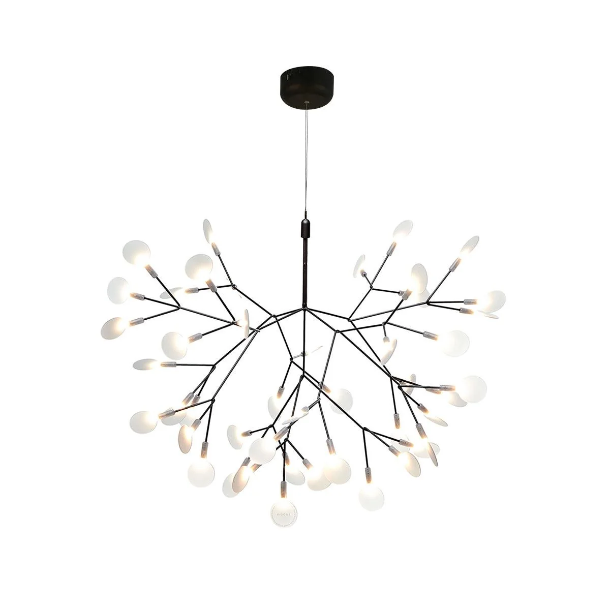 Heracleum Chandelier