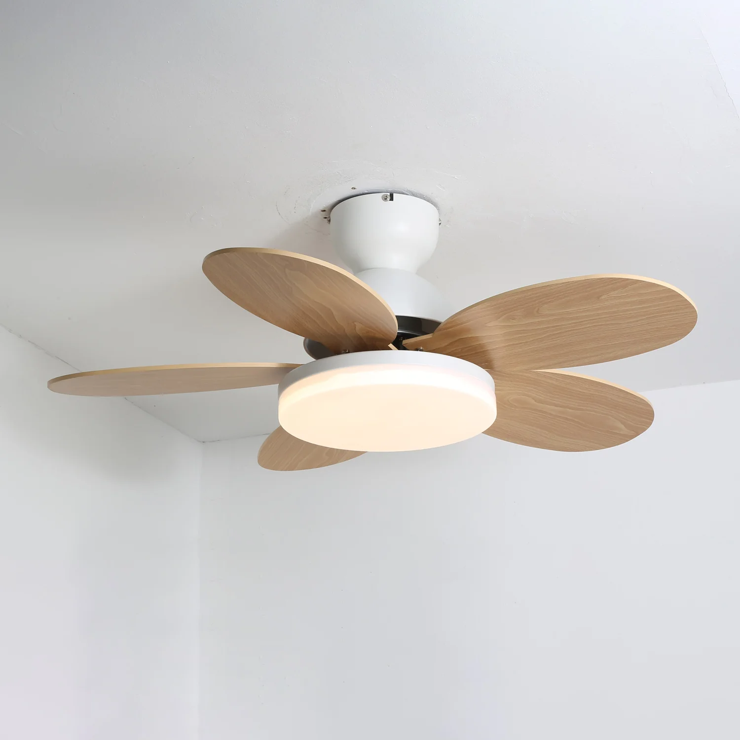 Aeralume Bloom LED Ceiling Fan