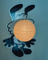 Akari D Series Plug-In Pendant Lamp