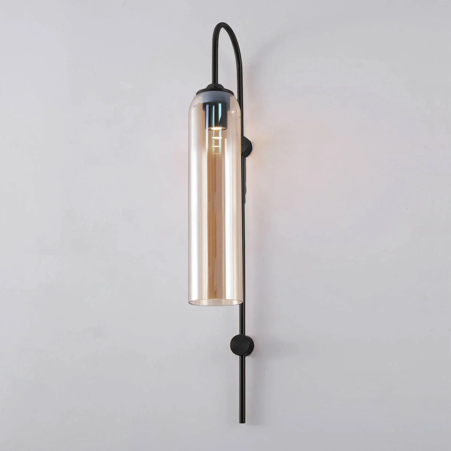 Caelora Arc Glass Wall Sconce