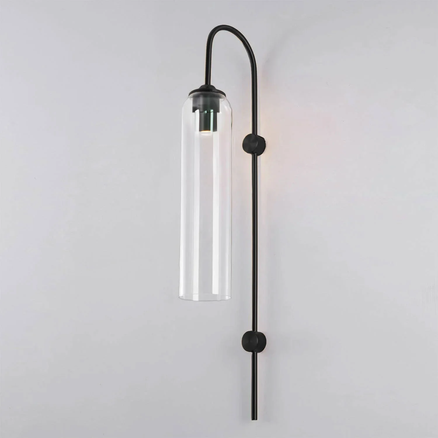Caelora Arc Glass Wall Sconce