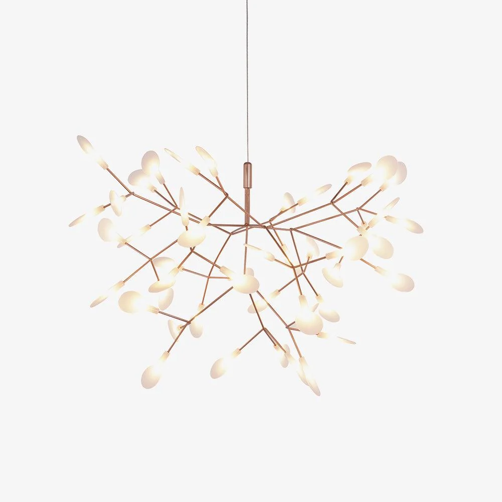 Heracleum Chandelier