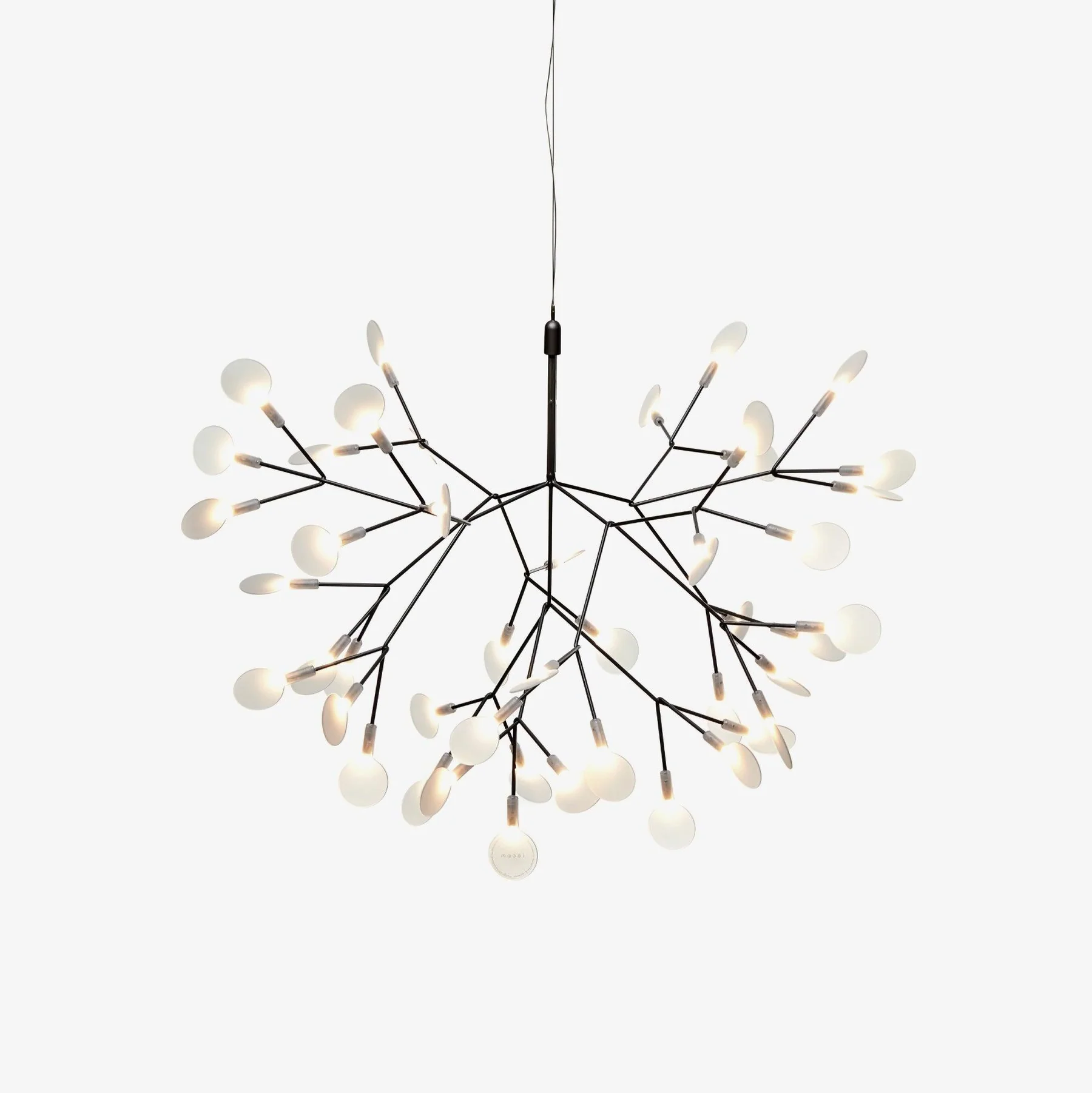 Heracleum Chandelier
