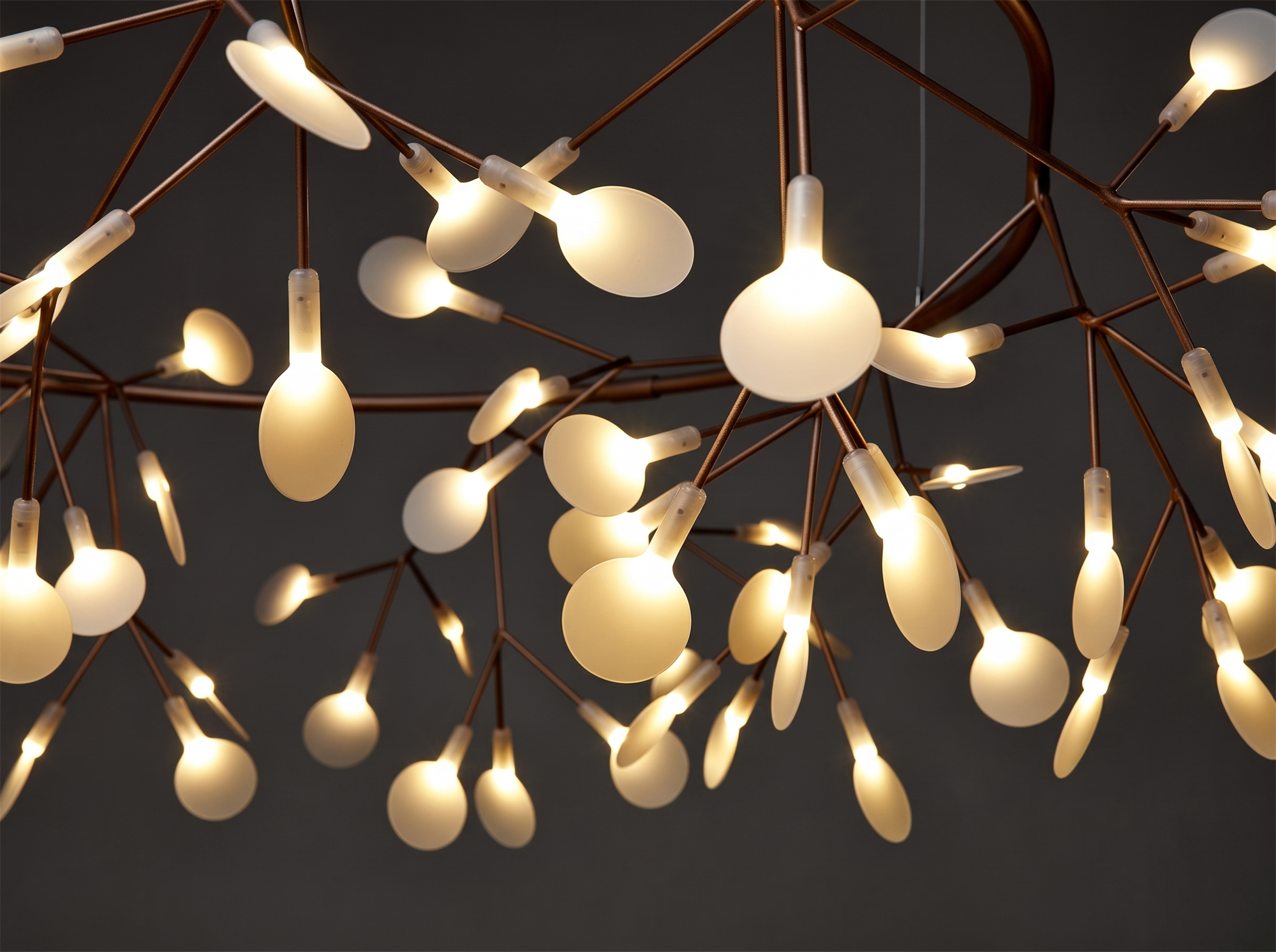 Heracleum Chandelier