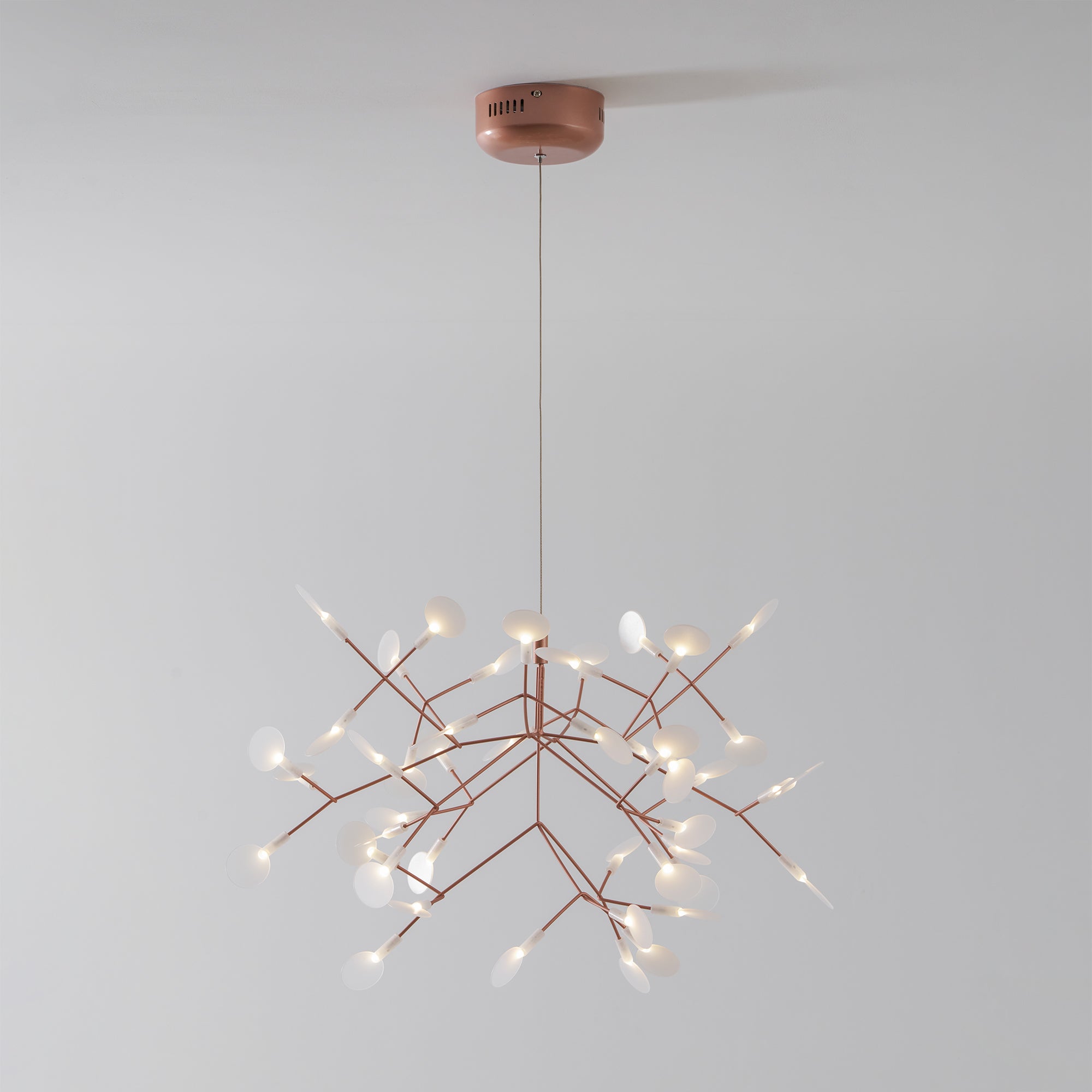 Heracleum Chandelier