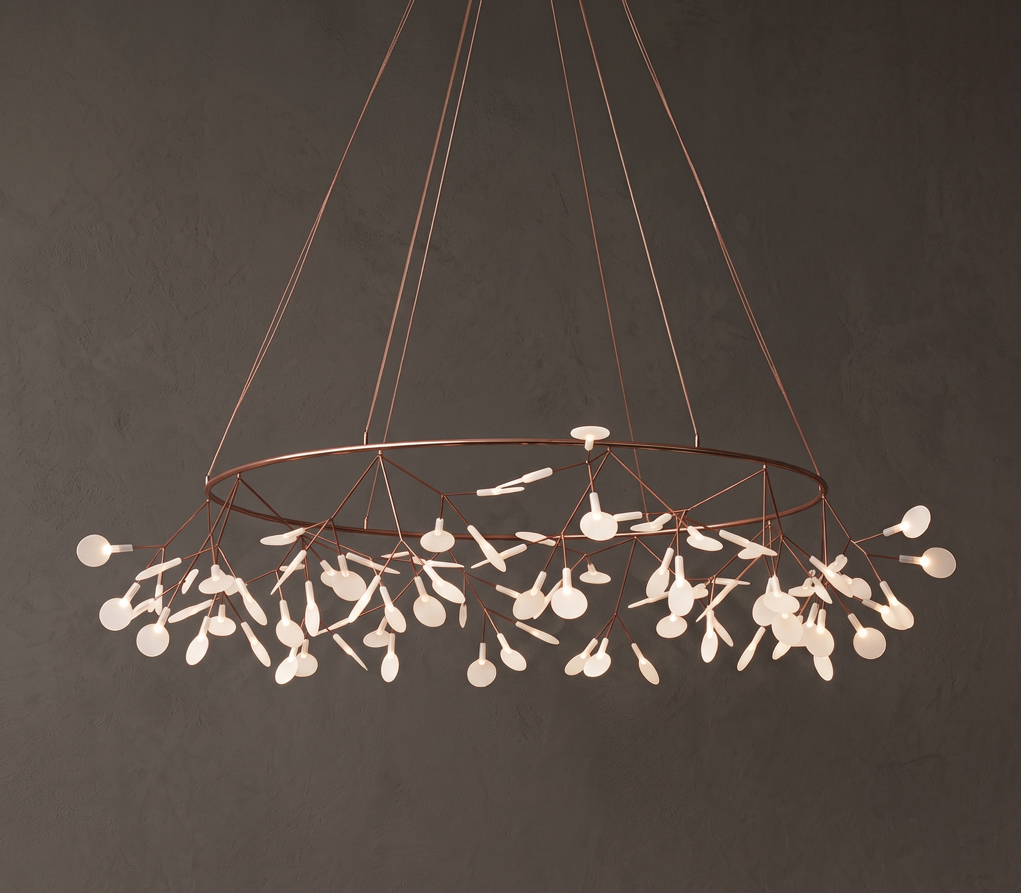 Heracleum Chandelier