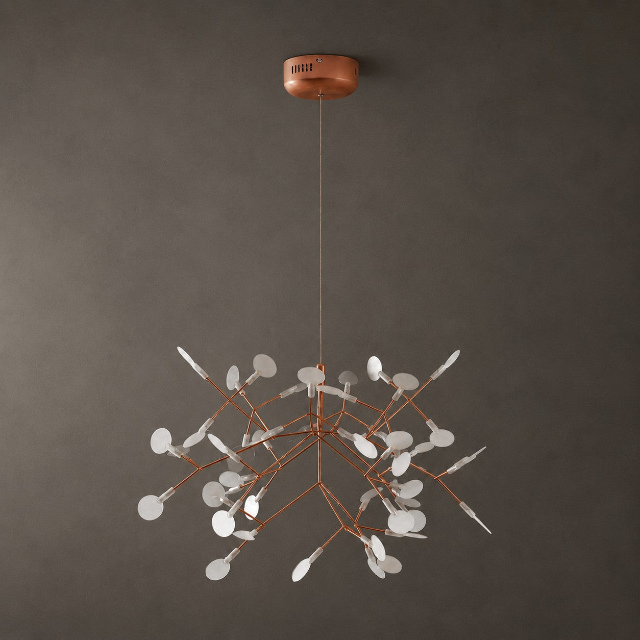 Heracleum Chandelier