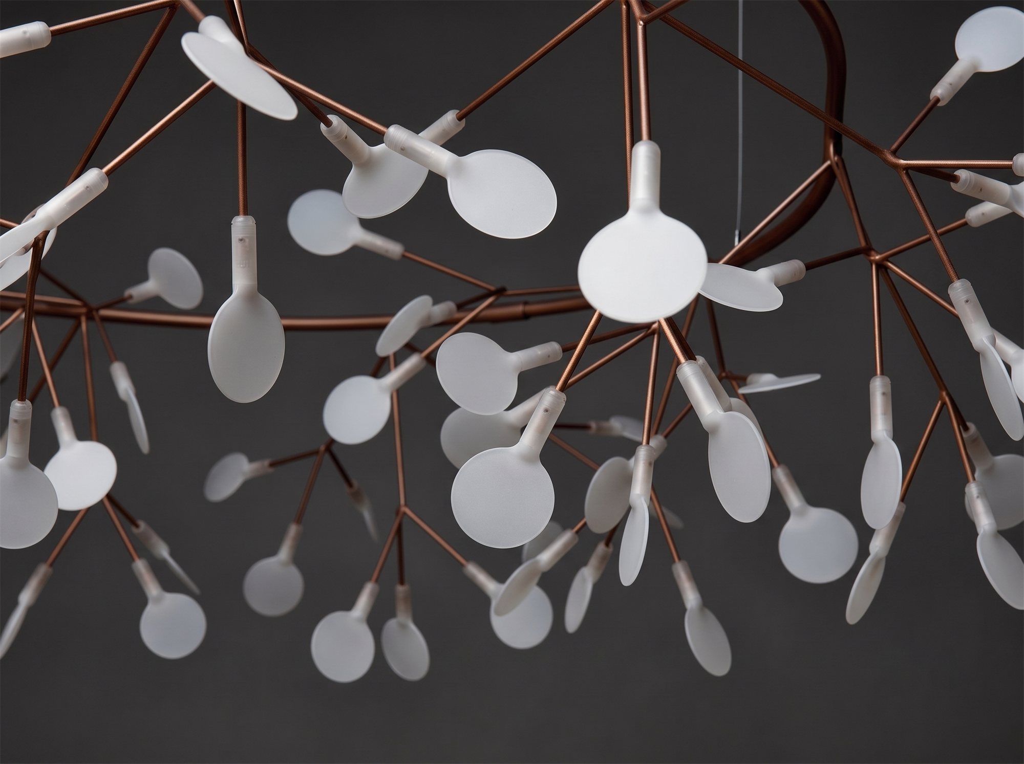 Heracleum Chandelier