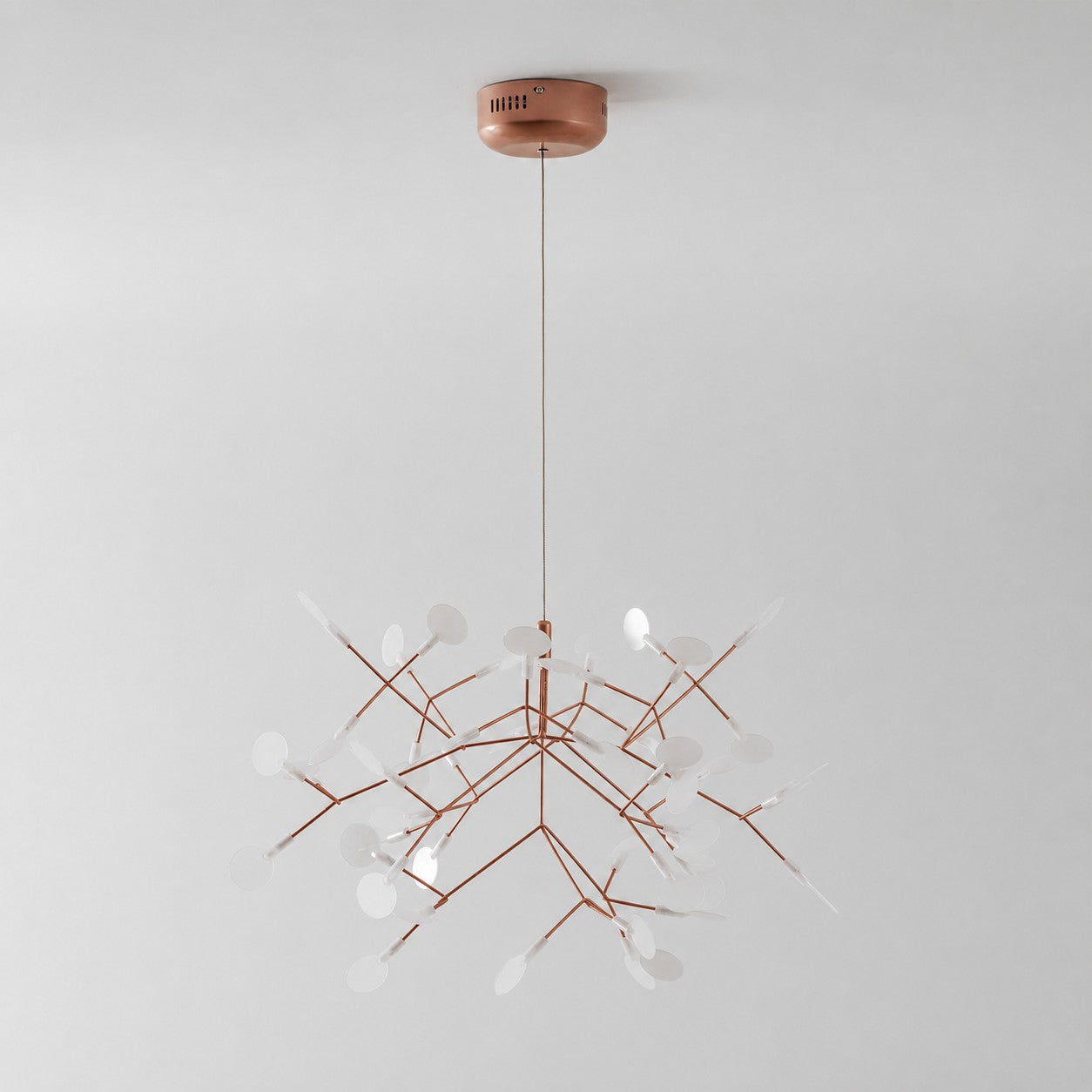 Heracleum Chandelier