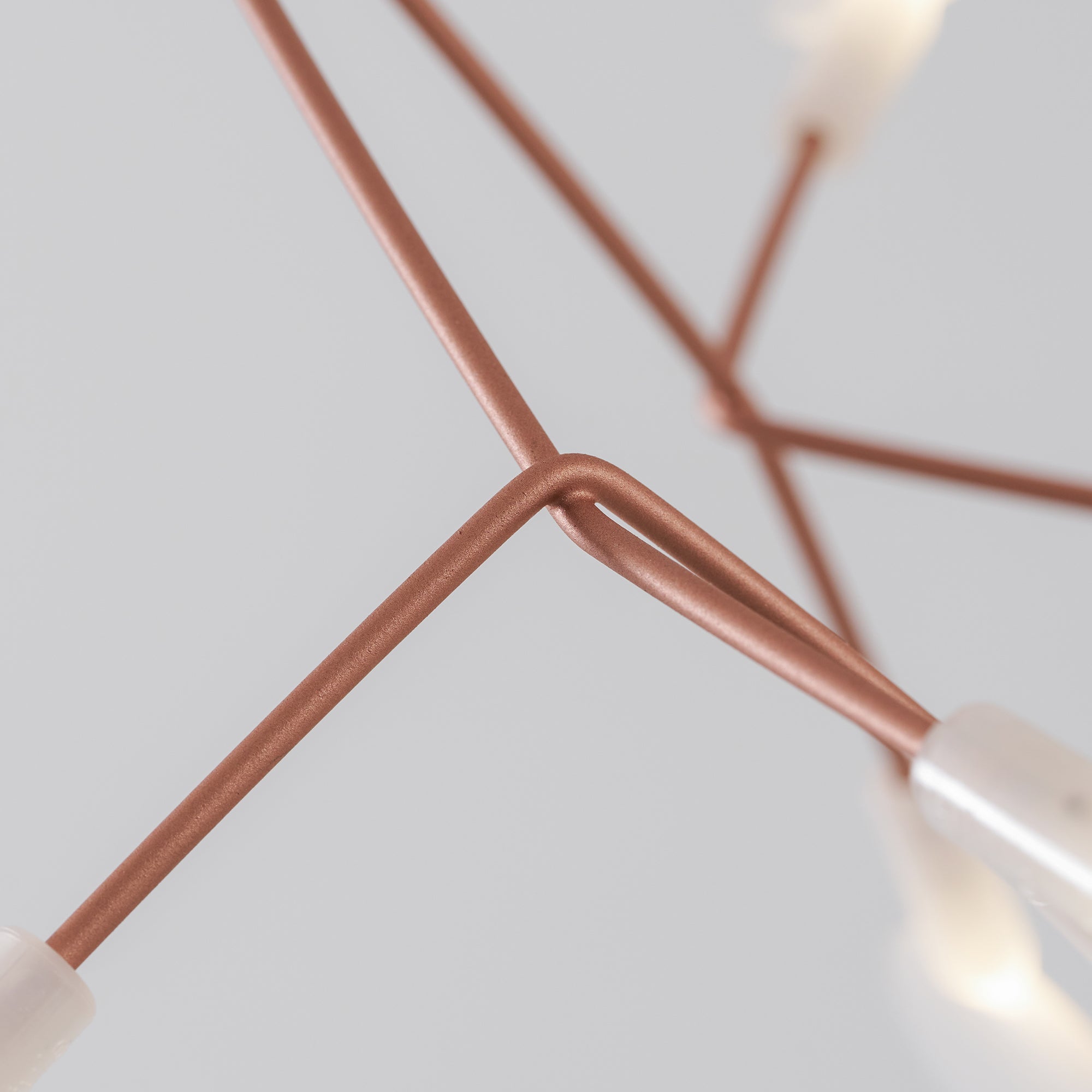 Heracleum Chandelier