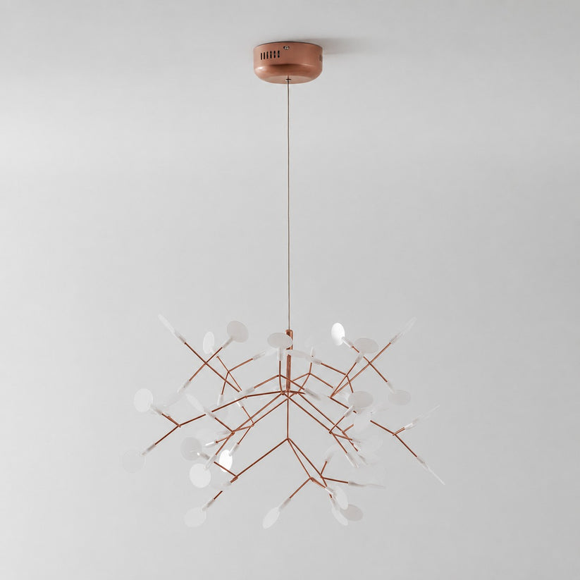 Heracleum Chandelier