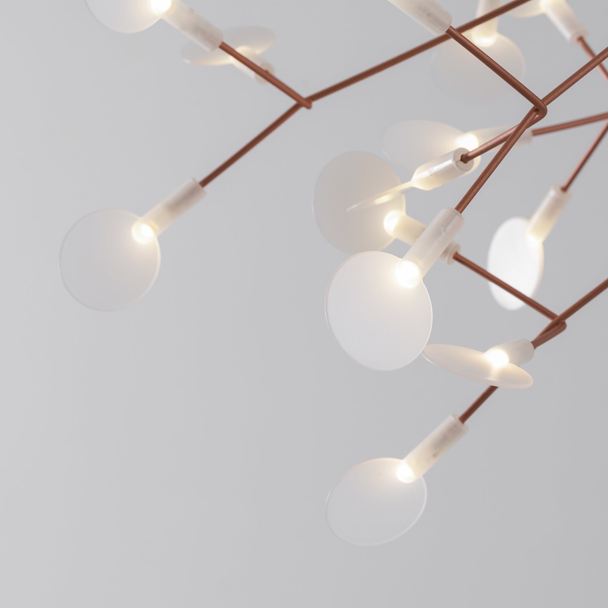 Heracleum Chandelier