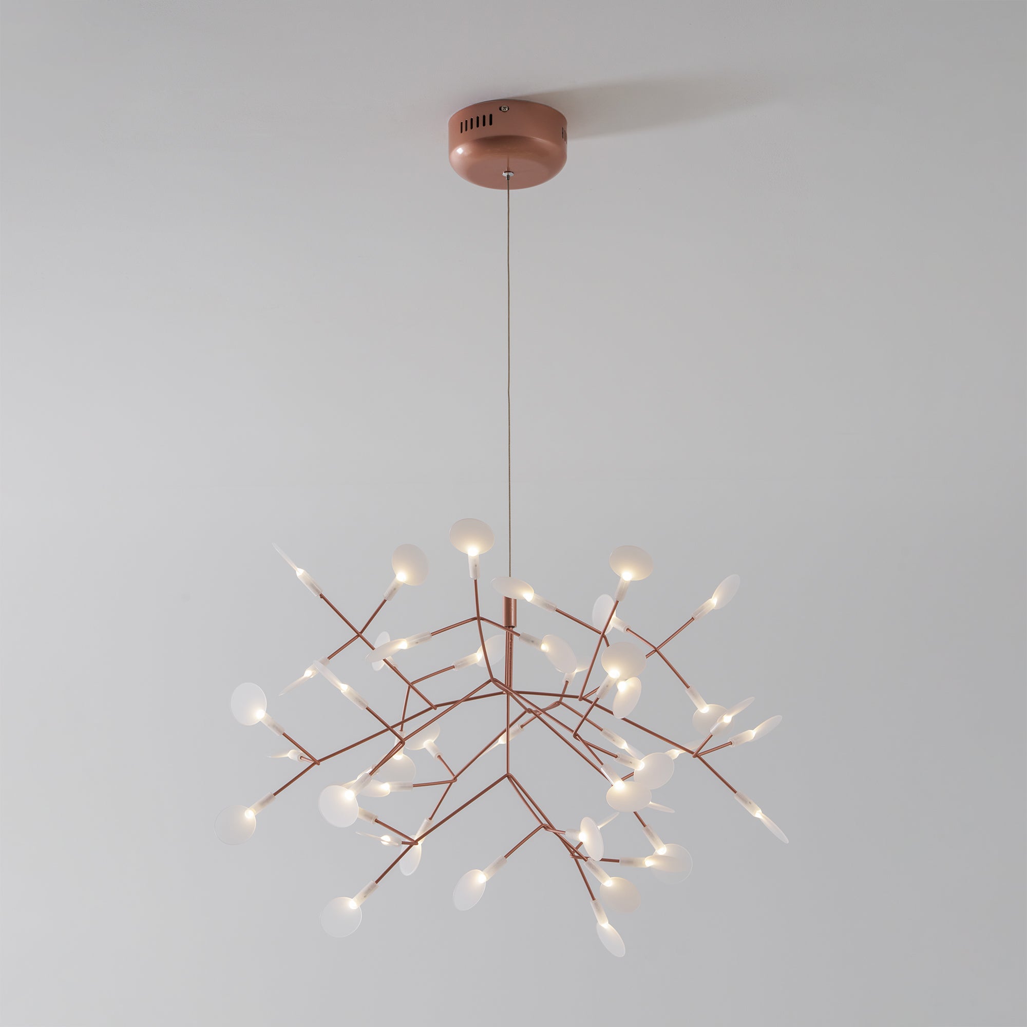 Heracleum Chandelier