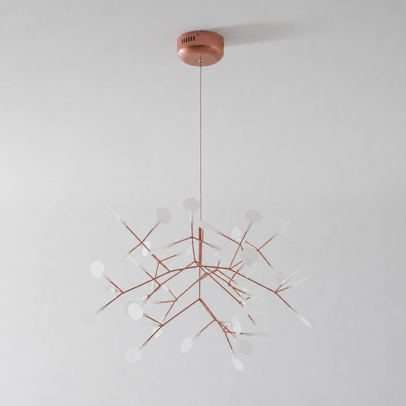 Heracleum Chandelier