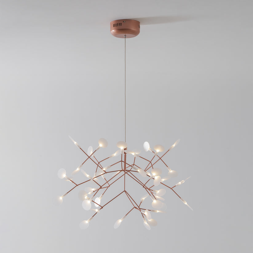 Heracleum Chandelier