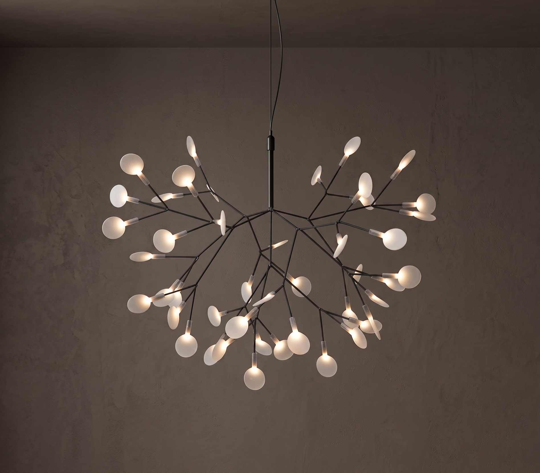 Heracleum Chandelier