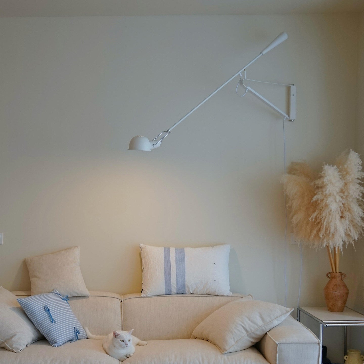 Long Swing Arm Wall Lamp