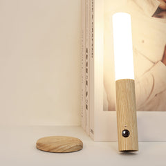 Magnetic LED Motion Sensor Night Light