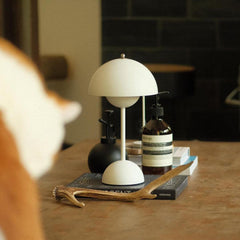 Orbelle Rechargeable Desk Lamp