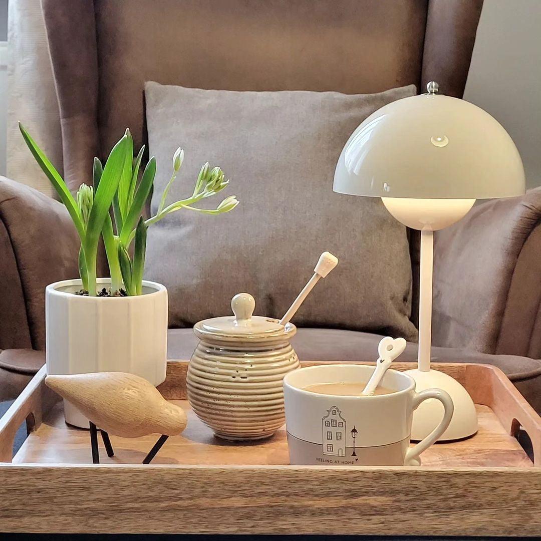 Orbelle Rechargeable Desk Lamp