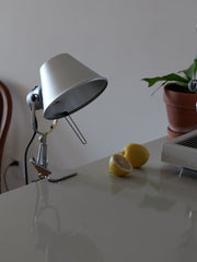 Tolomeo Pinza Clip Lamp