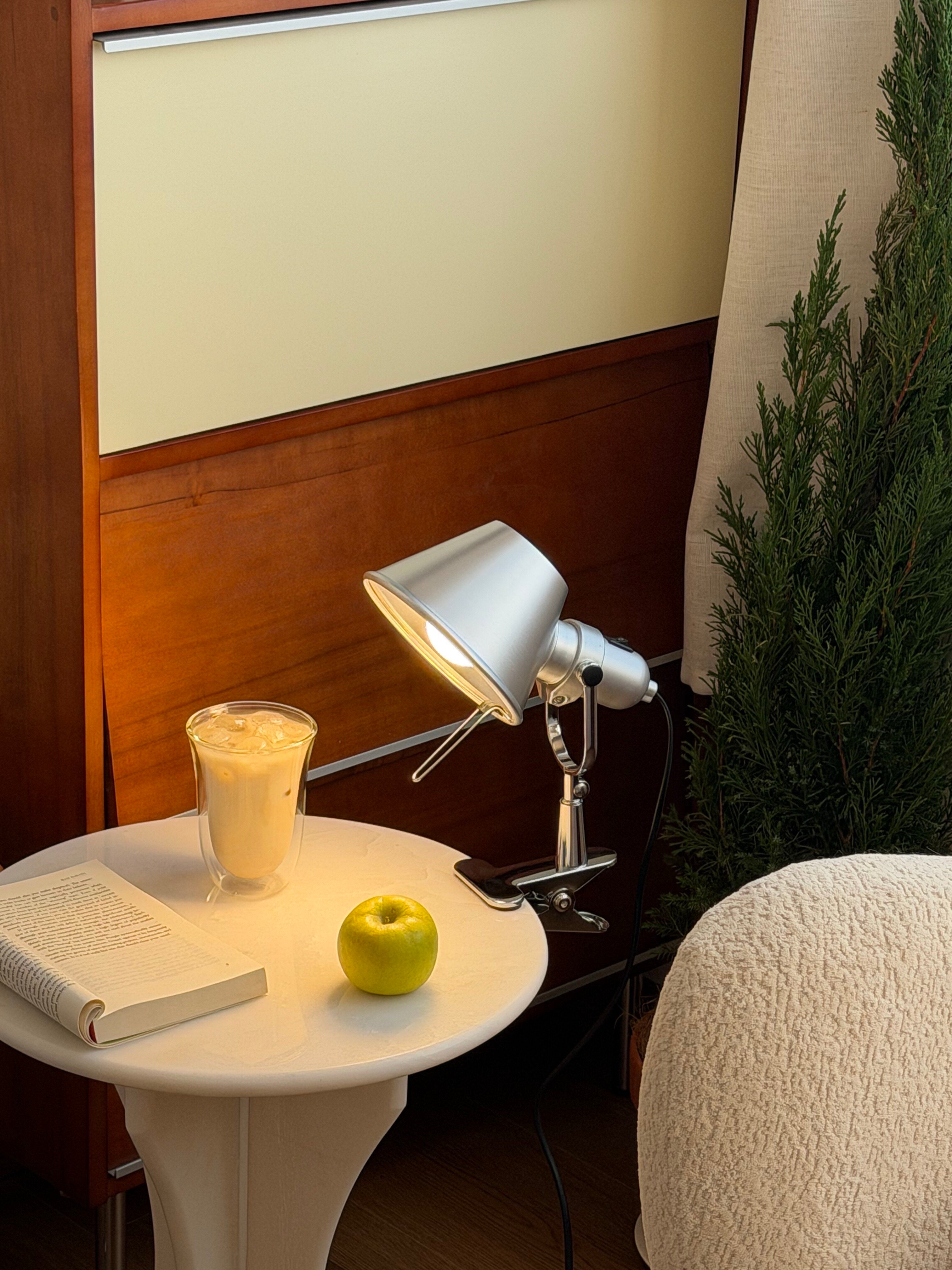 Tolomeo Pinza Clip Lamp