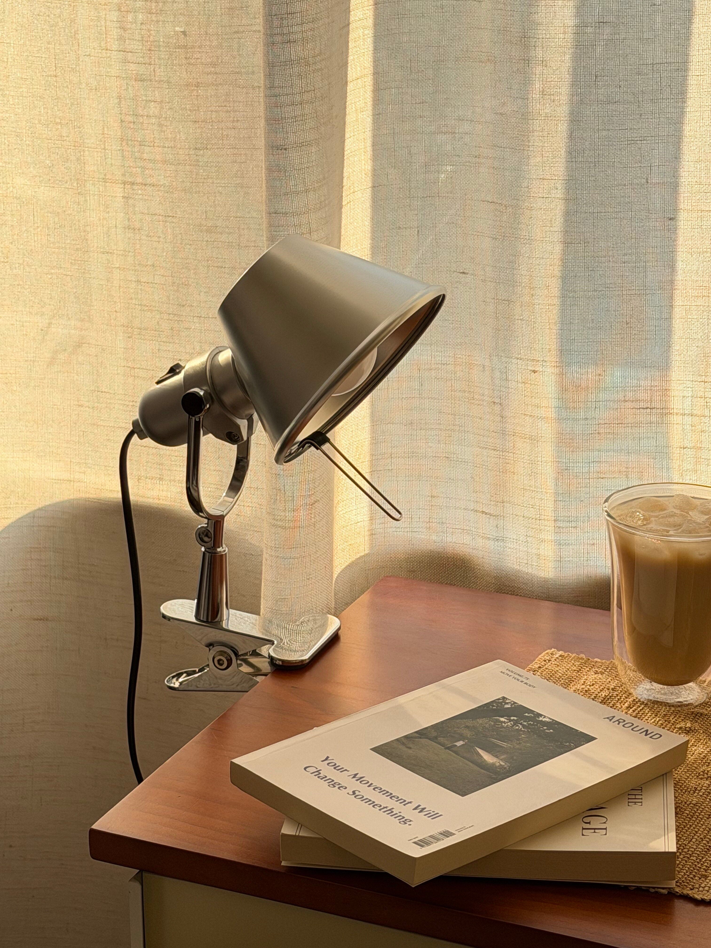 Tolomeo Pinza Clip Lamp