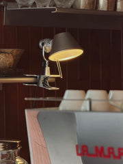 Tolomeo Pinza Clip Lamp