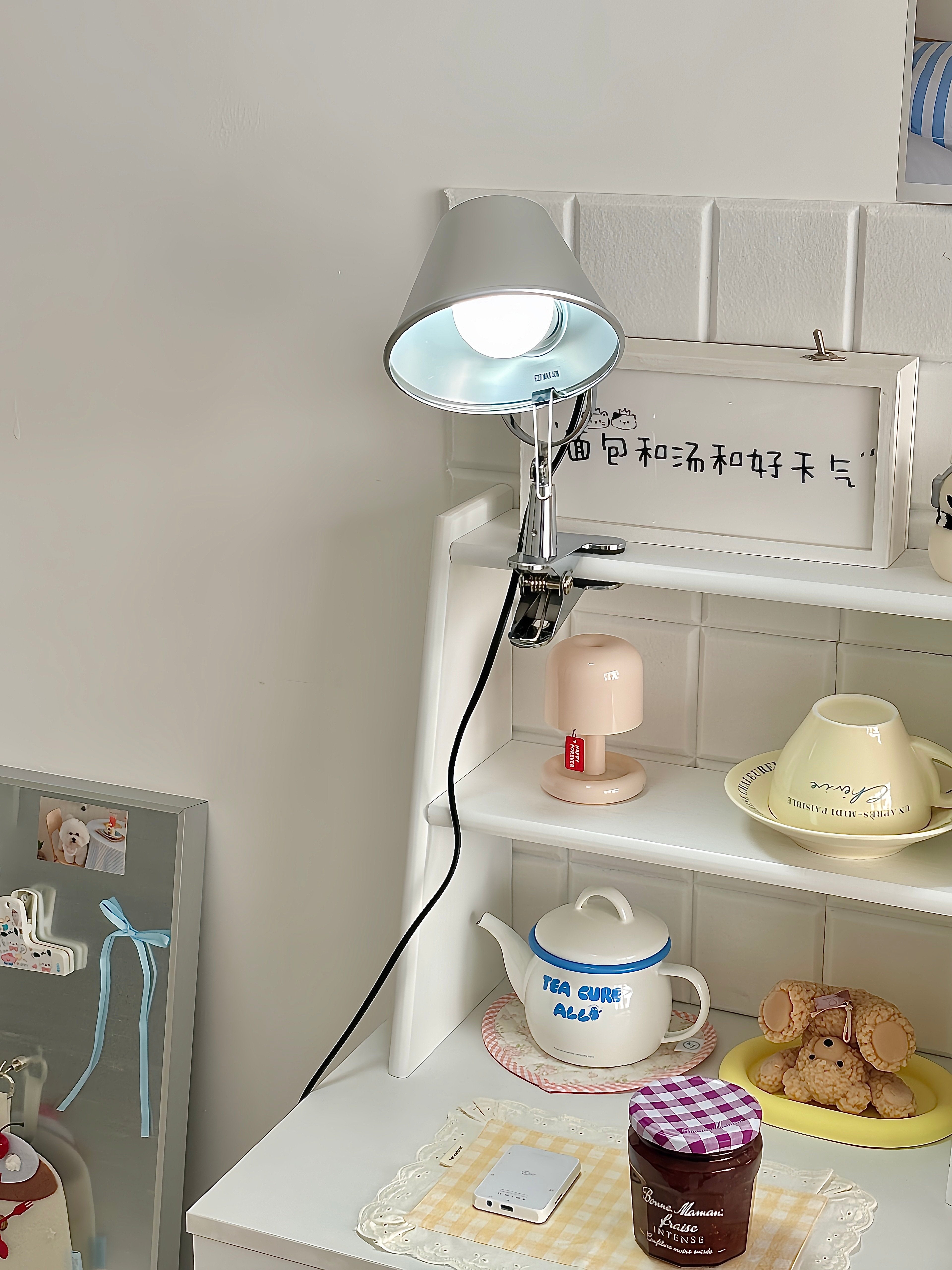 Tolomeo Pinza Clip Lamp