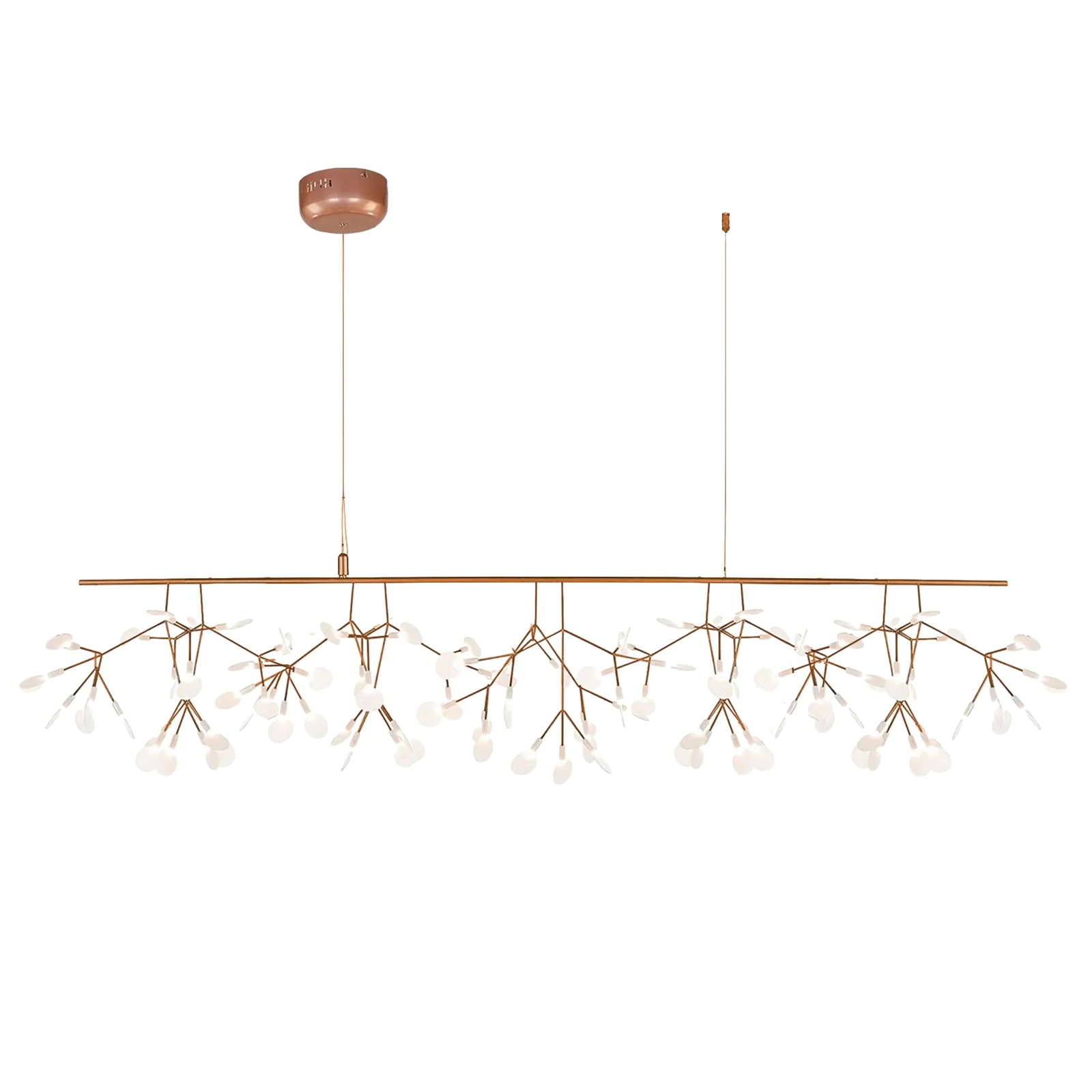 Heracleum Chandelier